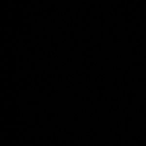 Meet your Posher, Kayden